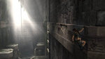 Images Xbox de Tomb Raider Legend - 6 images XBOX