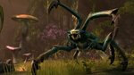 The Elder Scrolls Online introduced - 14 images