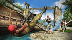 Far Cry 3 : Trailer multijoueur - Image