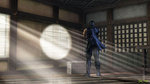 19 screens of Ninja Gaiden - 19 new screens