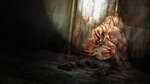 Nouvelles images de The Last of Us - Artworks