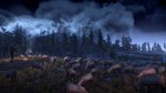 <a href=news_images_of_the_witcher_3-13837_en.html>Images of The Witcher 3</a> - 16 screens