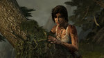 <a href=news_nos_videos_pc_de_tomb_raider-13859_fr.html>Nos vidéos PC de Tomb Raider</a> - 36 images PC