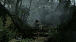 Our PC videos of Tomb Raider - 36 PC screenshots