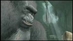 Trailer de King Kong - Galerie d'une vidéo