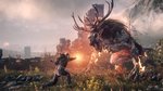 E3: The Witcher 3 en images - E3 Images
