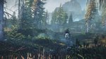 E3: New screens of The Witcher 3 - E3 Screens