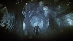 <a href=news_gc_the_witcher_3_new_gorgeous_screens-14487_en.html>GC: The Witcher 3 new gorgeous screens</a> - GC: Screens