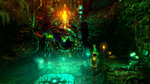 Trine 2: Complete Story coming to PS4 - Screenshots