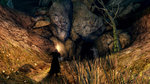 <a href=news_nouvelles_images_de_dark_souls_ii-14791_fr.html>Nouvelles images de Dark Souls II</a> - Images