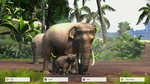 Nos vidéos de Zoo Tycoon - 39 images 1080p