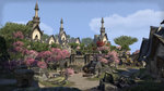 The Elder Scrolls Online date & trailer - 2 screens