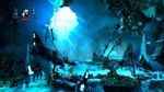 Gamersyde Review : Trine 2 sur PS4 - Screenshots (Share)