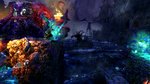Gamersyde Review : Trine 2 sur PS4 - Screenshots (Lossless)