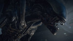 <a href=news_alien_isolation_annonce-14945_fr.html>Alien: Isolation annoncé</a> - Images