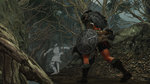 Images de Dark Souls II - Images