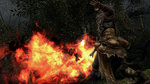 Images de Dark Souls II - Images