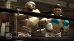 <a href=news_fight_night_360_images-2397_en.html>Fight Night 360 images</a> - Xbox 360 images