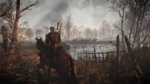 The Witcher 3 new screens - Screenshots