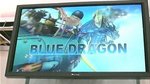 Short, very short video of Blue Dragon - Video gallery