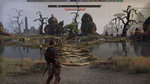Our videos of The Elder Scrolls Online - 27 screenshots
