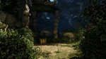 Fable Legends gets illuminated - Screens