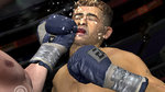 <a href=news_11_images_of_fight_night_3-2451_en.html>11 images of Fight Night 3</a> - 11 Xbox/PS2 images
