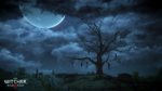 Images et trailer de The Witcher 3 - 6 images