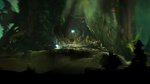 E3: Ori and the Blind Forest annoncé - E3: images