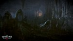 E3: The Witcher 3 fait le plein d'images - E3: Images