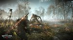 E3: The Witcher 3 fait le plein d'images - E3: Images