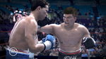 <a href=news_fight_night_3_x360_images-2499_en.html>Fight Night 3 X360 images</a> - 720p X360 images