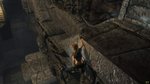 Tomb Raider Images - 9 images Pc  Xbox360