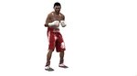 Fight Night Round 3 renders - Boxers renders
