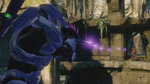 <a href=news_gc_halo_collection_gets_bunch_of_screens-15658_en.html>GC: Halo Collection gets bunch of screens</a> - GC: Gallery