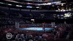 Fight Night 3 X360 arena images - 720p arena images