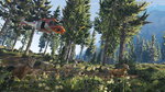 <a href=news_gtav_in_first_person_view_video-16024_en.html>GTAV in first person view video</a> - New screenshots