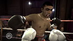 <a href=news_fight_night_round_3_images-2600_en.html>Fight Night Round 3 images</a> - 18 720p images