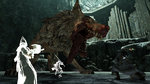 Images de Dark Souls II SotFS - 13 images