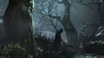 Bloodborne Launch trailer - 15 screens
