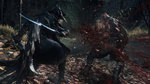 Bloodborne Launch trailer - 15 screens