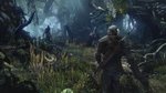 <a href=news_gsy_preview_the_witcher_3-16396_fr.html>GSY Preview : The Witcher 3</a> - Images