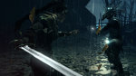 <a href=news_hellblade_new_trailer_and_more-16619_en.html>Hellblade new trailer and more</a> - 4 screens