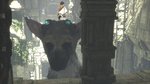<a href=news_e3_gameplay_de_the_last_guardian-16674_fr.html>E3: Gameplay de The Last Guardian</a> - E3: images