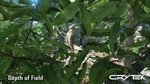 Crysis direct-feed trailer - Video gallery