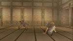 Ninja Gaiden emulated on Xbox 360 video - Video gallery