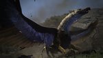 Dragon's Dogma: Dark Arisen comes to PC - PC screens