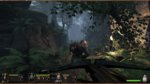 Warhammer: Vermintide new trailers - Dwarf Ranger screenshots