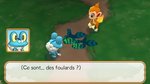 Gamersyde Review : <br>Pokémon Méga Donjon Mystère - Screenshots
