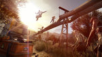 Dying Light: The Following is out now - Gallery (4K)